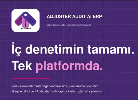 Adjuster-Audit